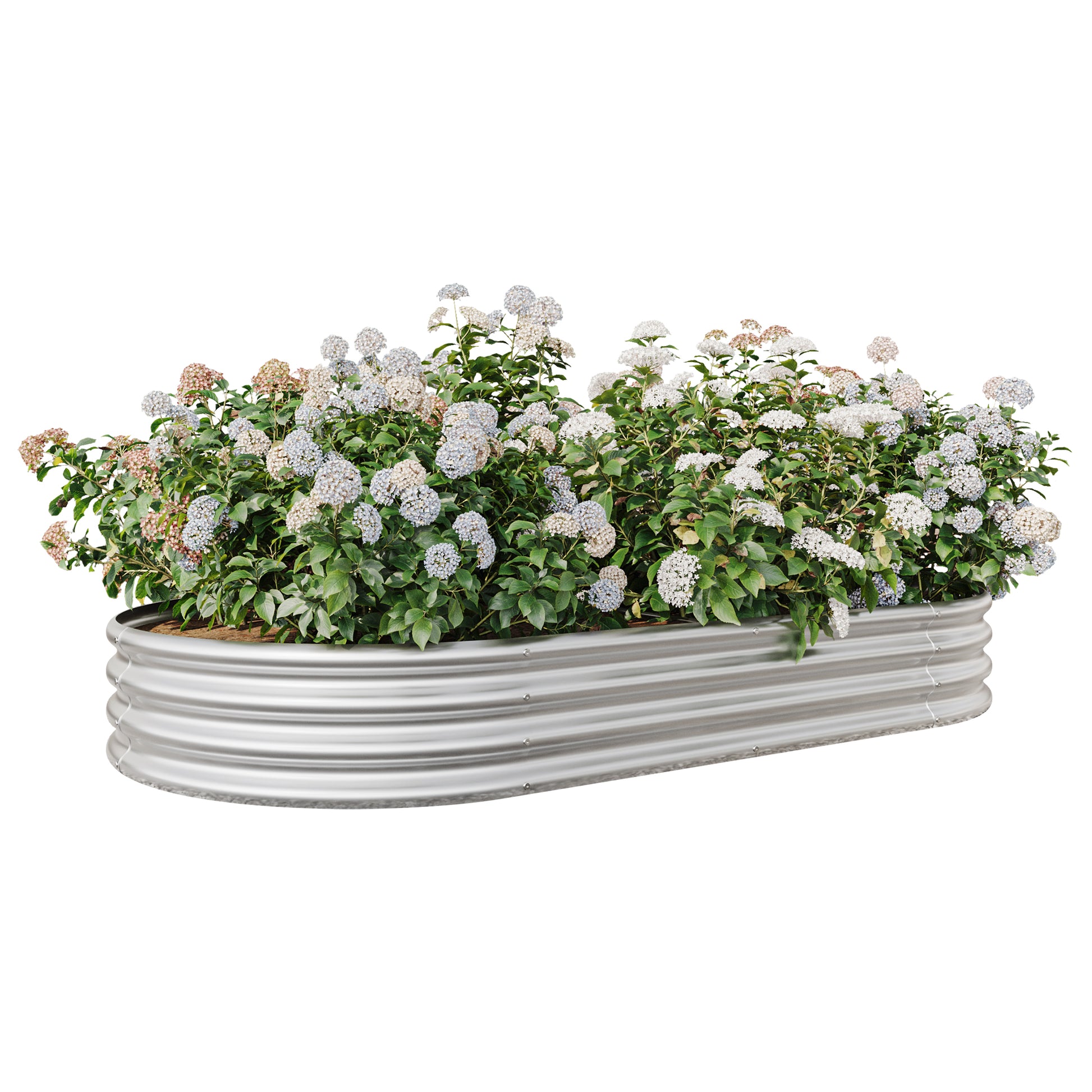 Oval Shaped Metal Raised Garden Bed Herbs and Vegetable Planter- Silver_9