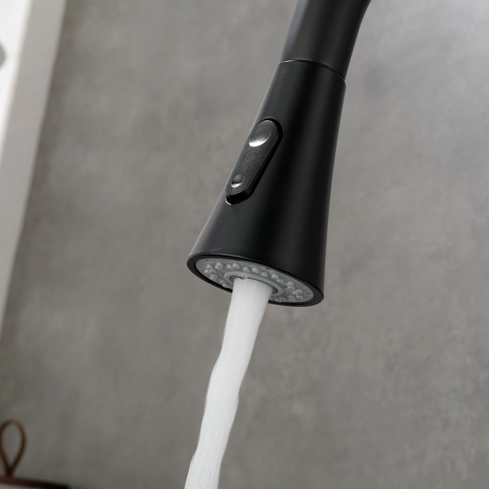 Pull Out Spray Kitchen Faucet - Black_5