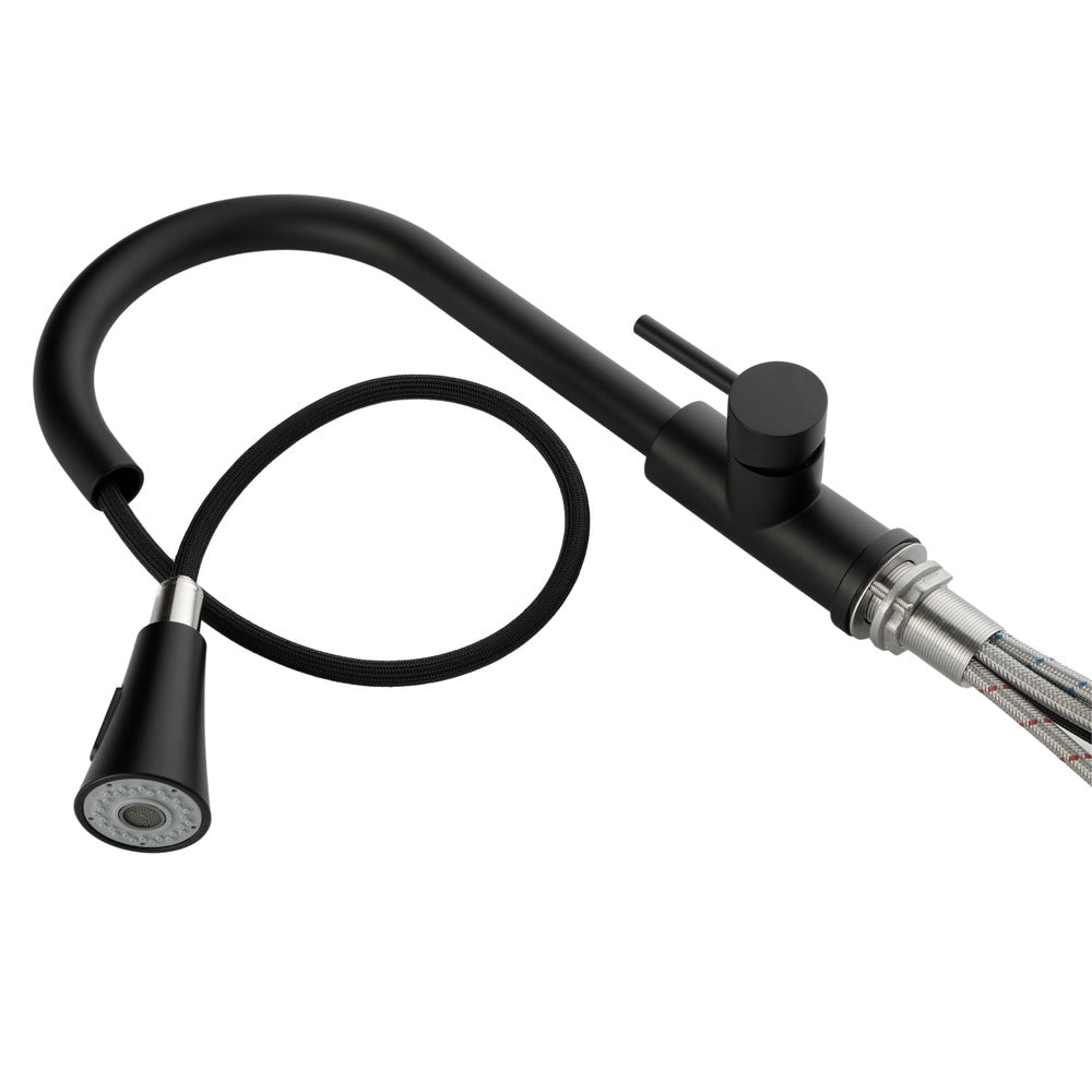 Pull Out Spray Kitchen Faucet - Black_2