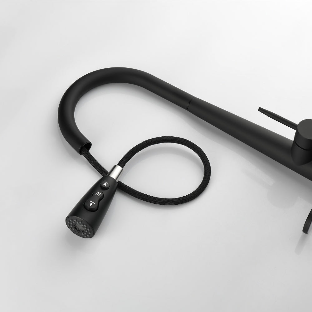 Black Kitchen Faucet with Pull Down Sprayer_6