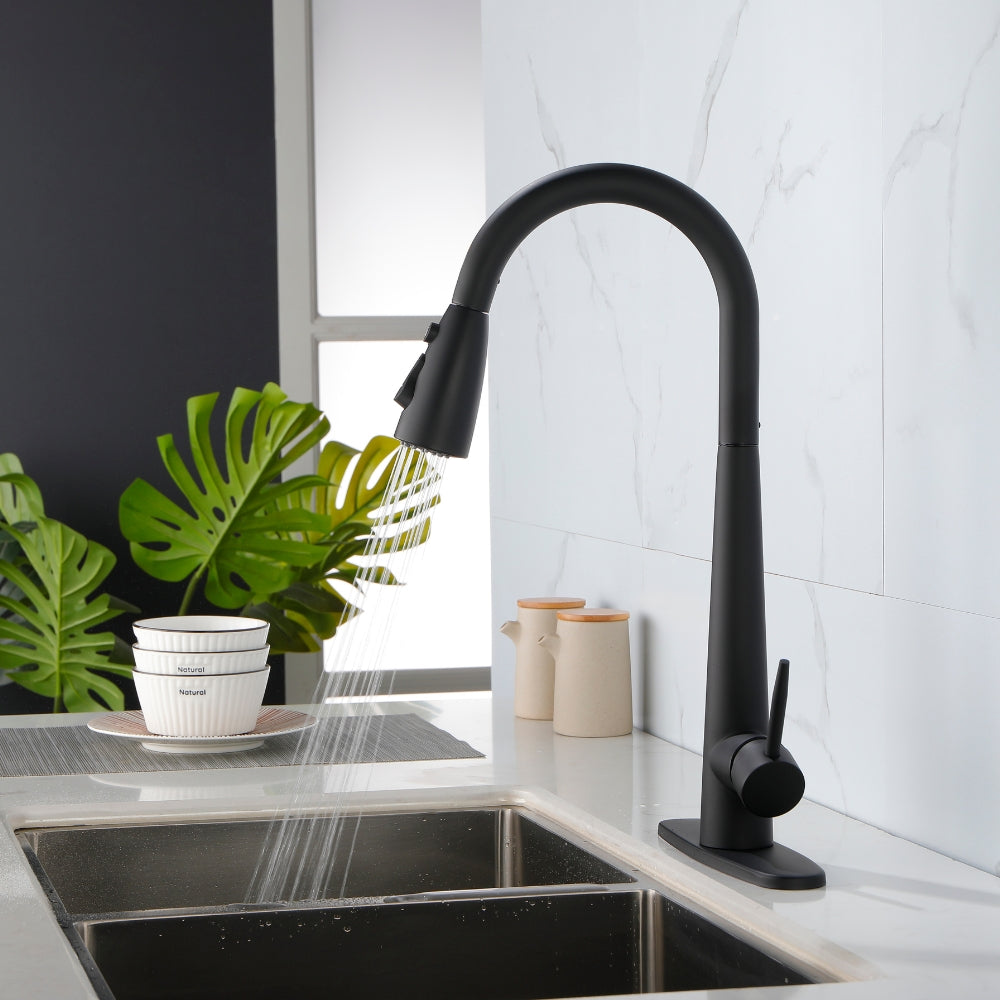 Black Kitchen Faucet with Pull Down Sprayer_7
