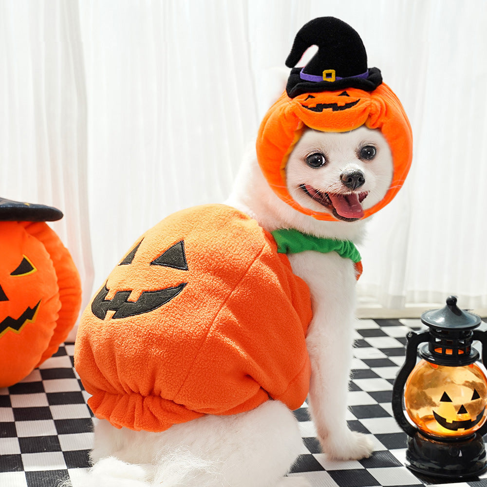 Autumn and winter dog Halloween Christmas pumpkin lantern transformation costume funny cat two-legged pet teddy dog clothes
