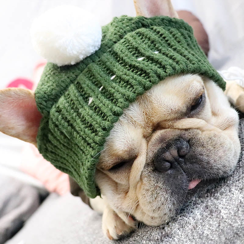 Winter Pet Hat Christmas Dog Cap Fat Large Dog Hats for Dogs Cats Accessories French Bulldog Caps for Dogs Labrador New Year Hat