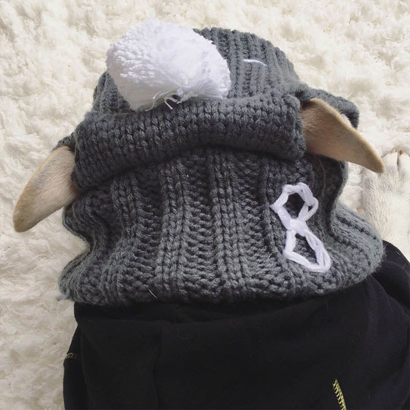 Winter Pet Hat Christmas Dog Cap Fat Large Dog Hats for Dogs Cats Accessories French Bulldog Caps for Dogs Labrador New Year Hat