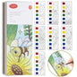 Watercolor Book