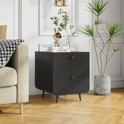 2 Drawers Nordic Minimalist Bedside Steel Cabinet with Round Handle- Black_2