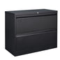 2 Drawer Lateral Metal Filing Cabinet for Legal/Letter A4 Size Documents- Black_2