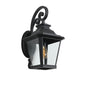 Large Outdoor Wall Sconces with Clear Glass_0