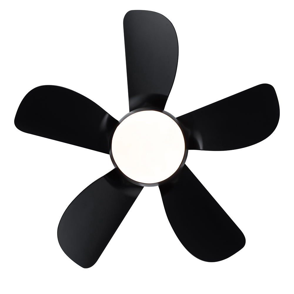 30-Inch Integrated LED Ceiling Fan Lighting_1