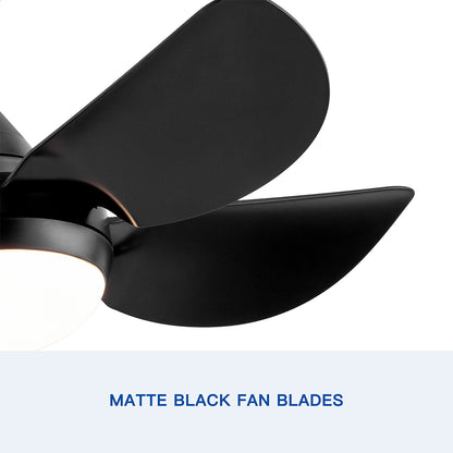 30-Inch Integrated LED Ceiling Fan Lighting_6