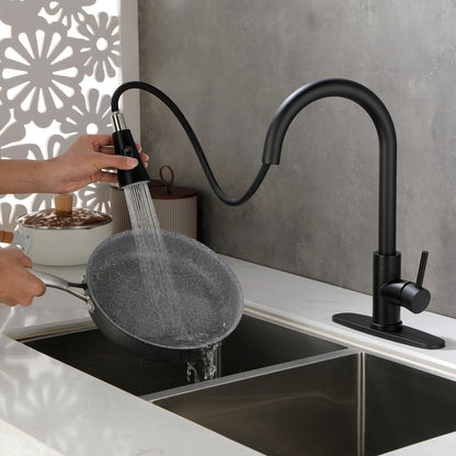 Pull Out Spray Kitchen Faucet - Black_6