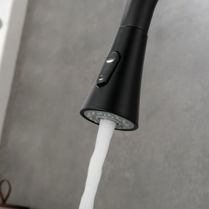Pull Out Spray Kitchen Faucet - Black_5