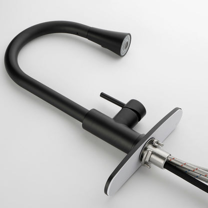 Pull Out Spray Kitchen Faucet - Black_4