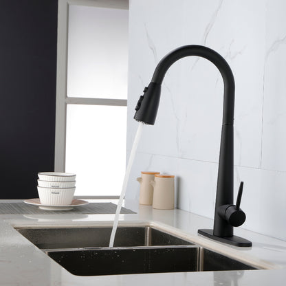 Black Kitchen Faucet with Pull Down Sprayer_9