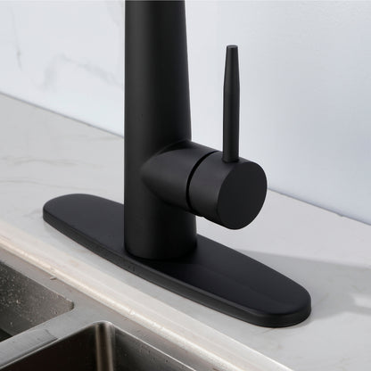 Black Kitchen Faucet with Pull Down Sprayer_3
