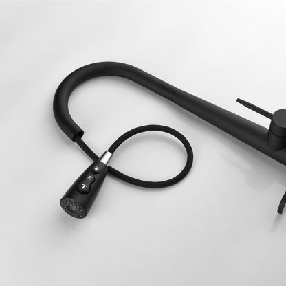 Black Kitchen Faucet with Pull Down Sprayer_6