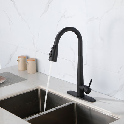 Black Kitchen Faucet with Pull Down Sprayer_8