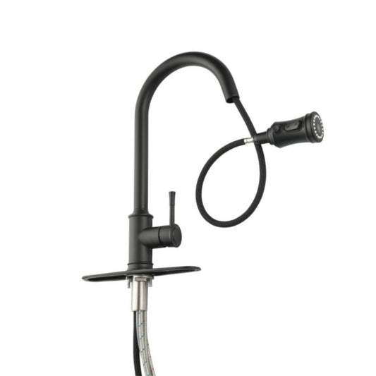 High Arc Single Handle Pull Out Kitchen Faucet Stainless Steel with Pull Down Sprayer_0