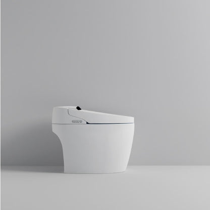 Smart Toilet With Built-in Bidet