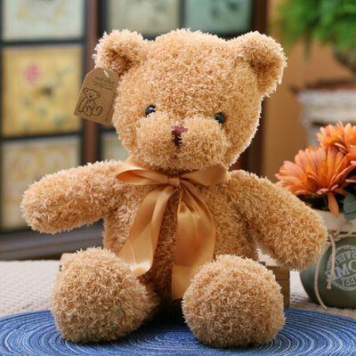 Sweater Teddy Bear Plush Toy