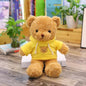 Sweater Teddy Bear Plush Toy