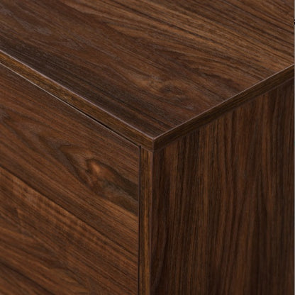 Contemporary 2-Door Minimalist TV Stand For TVs Up To 80 Inches Dark Walnut