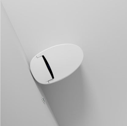 Smart Toilet With Built-in Bidet