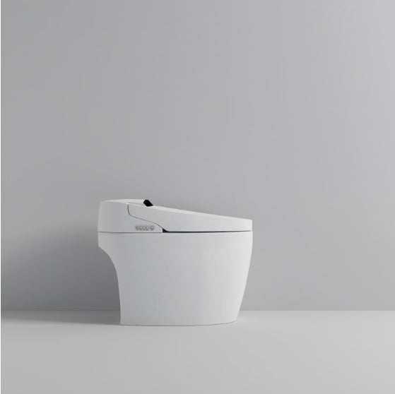 Smart Toilet With Built-in Bidet